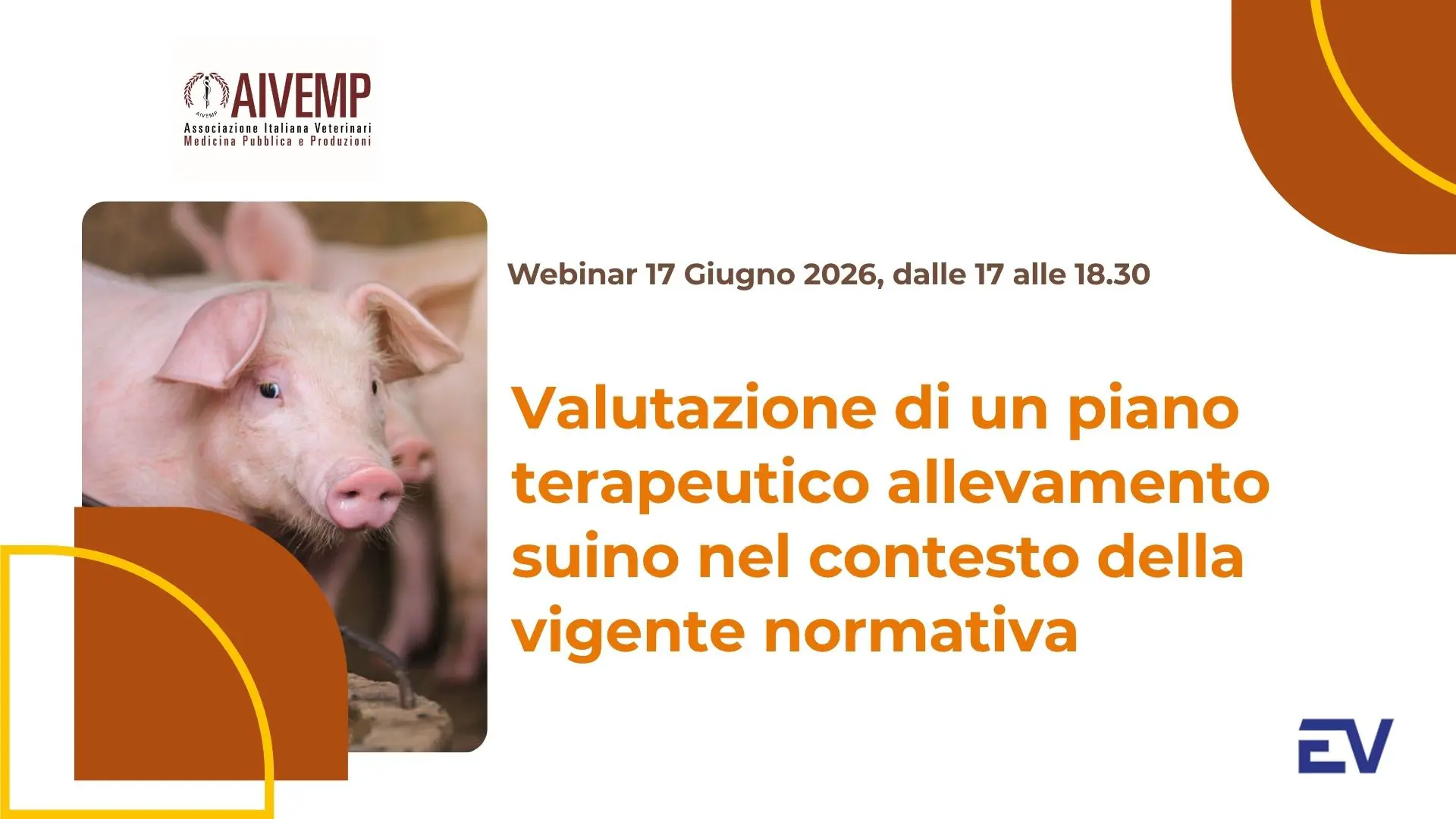 VALUTAZIONE DI UN PIANO TERAPEUTICO ALLEVAMENTO SUINO NEL CONTESTO DELLA VIGENTE NORMATIVA